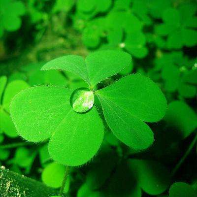 云顶集团手机app下载